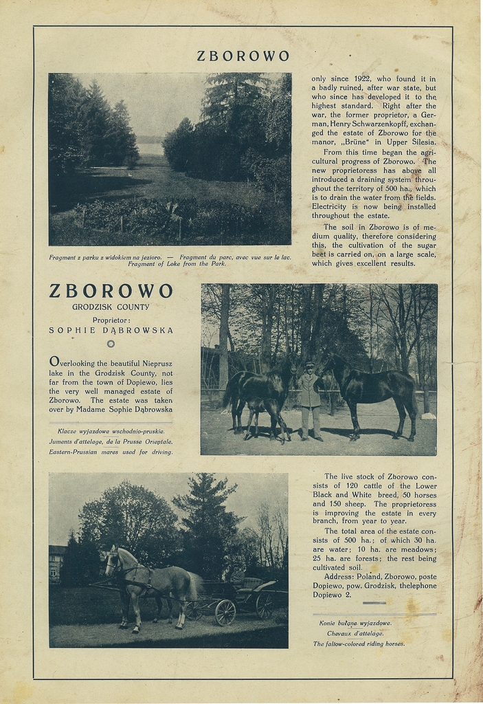 220 zborowo.jpg